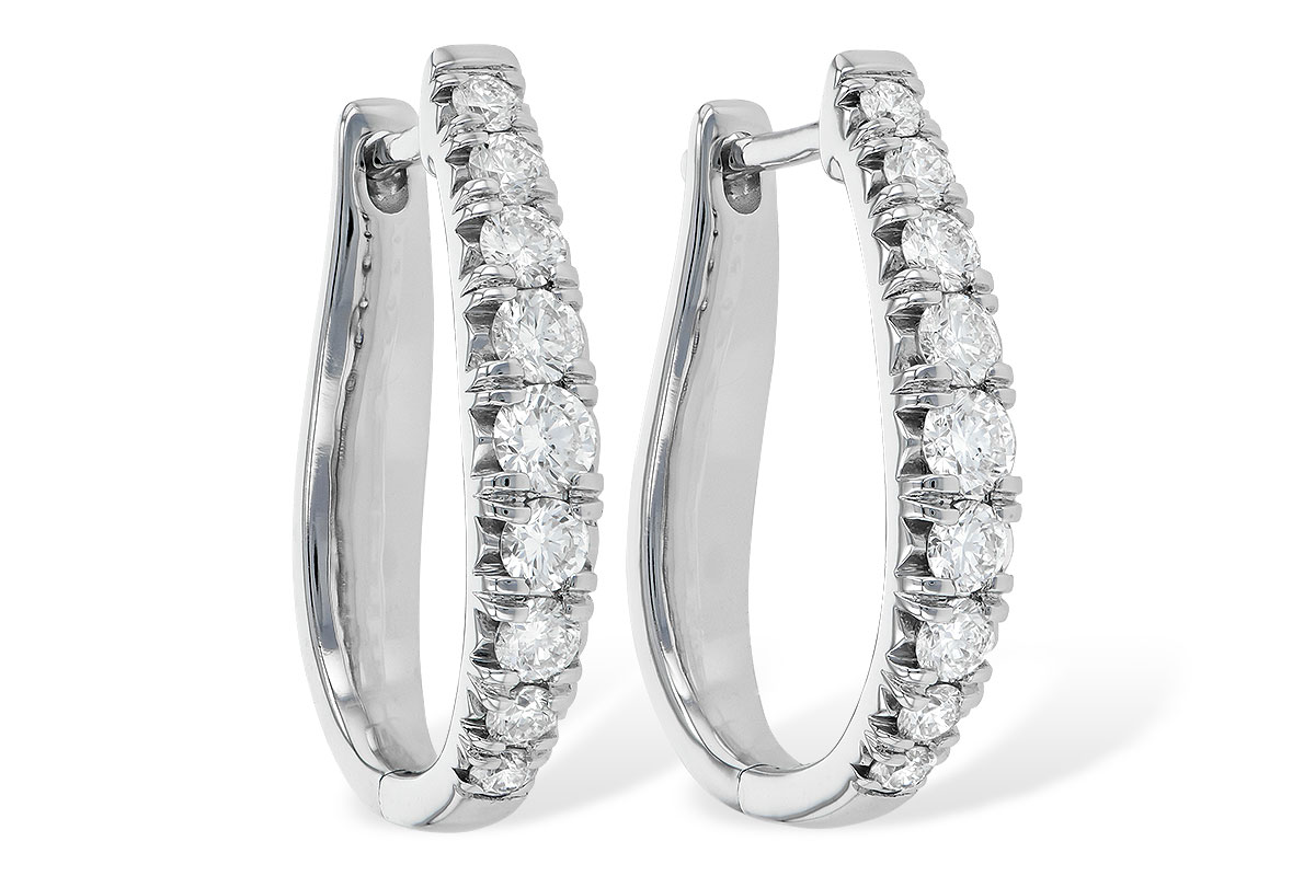 H244-75973: EARR 1.00 TW