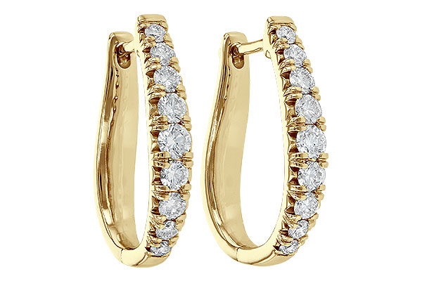 H244-75973: EARR 1.00 TW