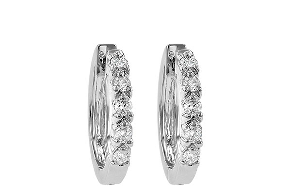 K055-66828: EARRINGS .25 TW