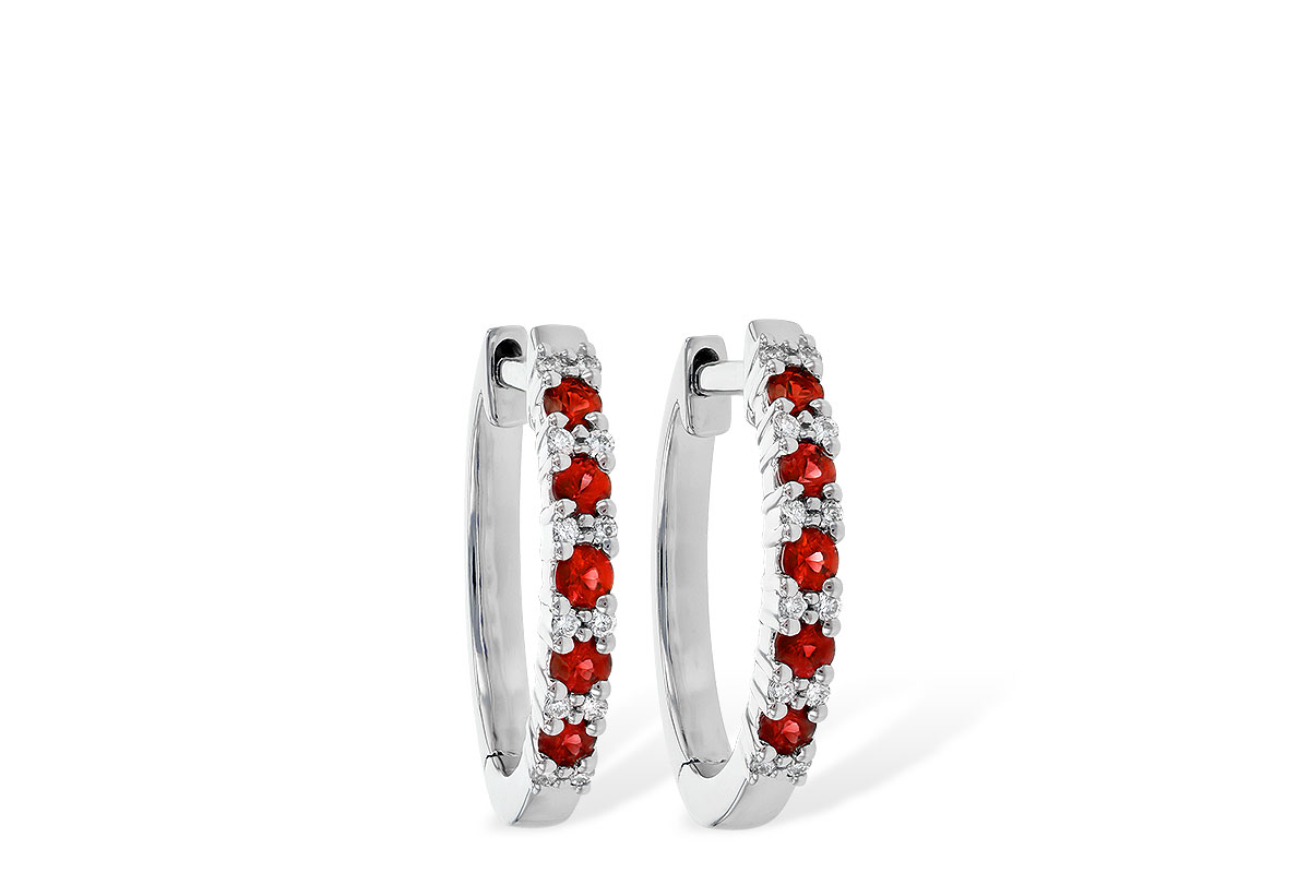 M244-76891: EARR .24 RUBY .30 TGW